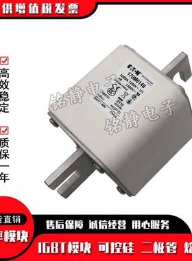 17060AKW171170M601870M6019170M6020巴斯熔曼断器现货170MM6021