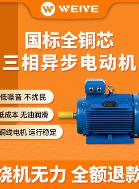 YE3全铜三相异步卧式电立卧式铁壳电机动机2级4级.0.75KW1kW91488