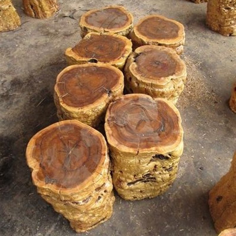 木墩树墩茶几配凳栎木木墩椅木凳茶台墩子树桩木桩雕摆件底座