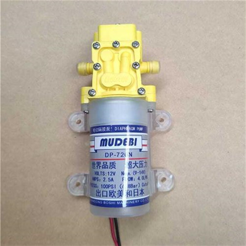 高压水泵双泵变频水泵大功率电机车载洗车器抽电动喷雾器12V水泵