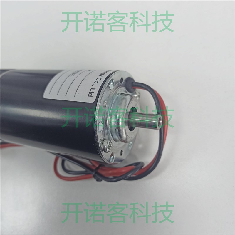 直流微型齿轮抽糖浆食品级小型V2VDC冰激凌机奶茶果糖机专用泵