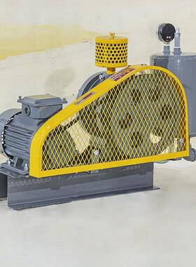 203HC51S2低噪音回转风机30v工业污机水处理曝8气风一体回转式鼓