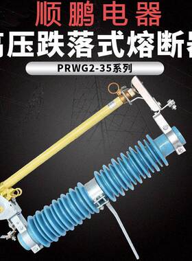 PRWG2跌落式熔断器100PRWG1-35A00户外电电站塔电力高压熔A断2器