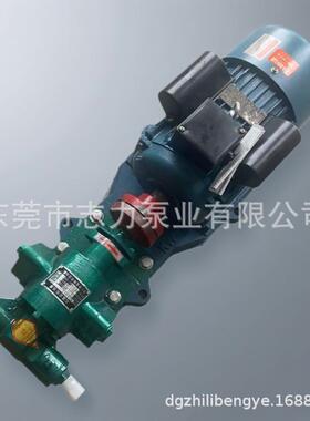 机油泵K2C.B18.3/33.3/553/83齿轮泵整机20V/3LHE80V