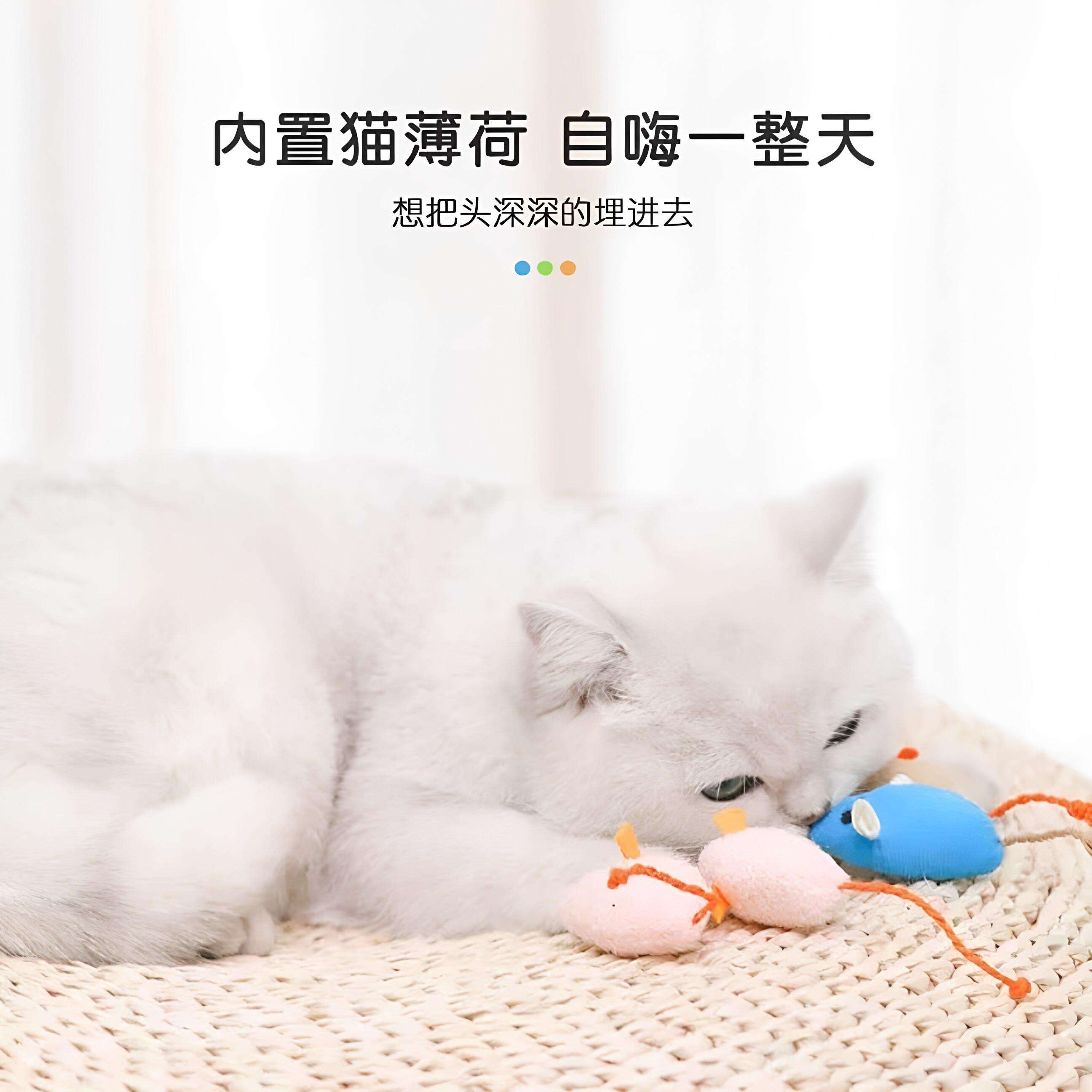 猫玩具小老鼠自嗨猫玩具耐咬逗猫猫薄荷玩具猫咪逗猫玩具