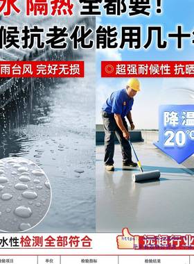 TQJ沃特浦顶不漏防涂料屋顶防水胶补漏裂缝渗水房水防漏顶材料漆