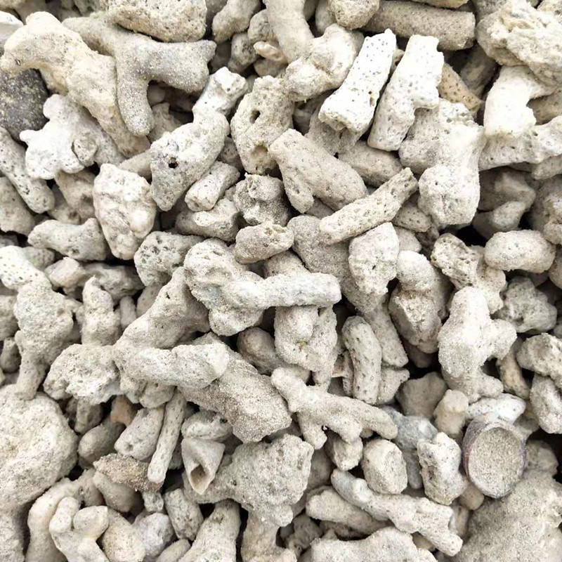 鱼缸造景白沙珊瑚砂珊瑚石 鱼池净化用珊瑚砂 珊瑚石头鱼缸用