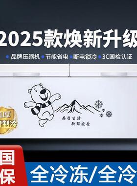 家用冰柜式KJZ商用大容量冷冻冷藏单雪温双温铜管卧节能冰箱糕冻