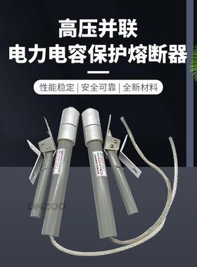 BR2BRW10KV12KBRN-10/120A15A016A200A电力电0容保护高器压熔断器