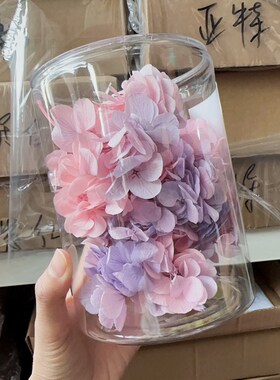 亚特兰蒂斯木绣球20g永生花花艺材料填充真花干花渐变保鲜花中华