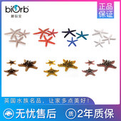 仿真海洋装 饰 biOrb鱼缸水族箱造景 五指海星装