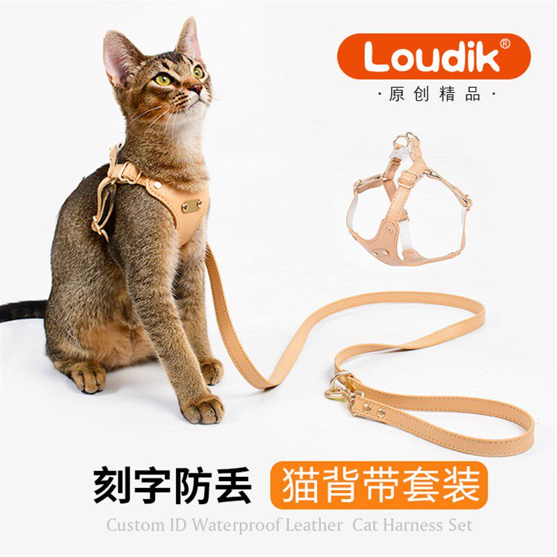 Loudik柔软皮质猫背带猫咪背心式牵引绳宠物胸背遛猫绳外出小型犬