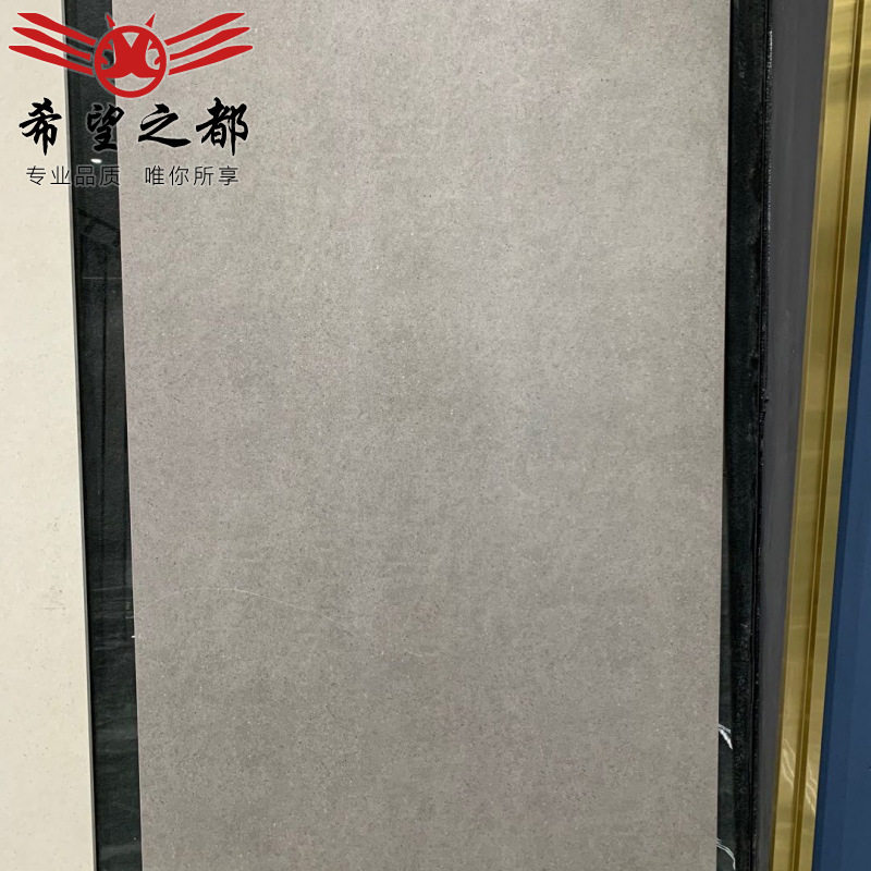 佛山微水泥柔光750x1500瓷砖