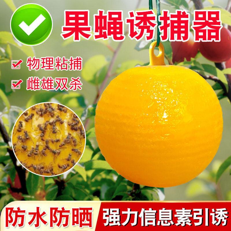 粘虫球丝瓜果实蝇贴诱蝇球针蜂马蜂色引诱剂果蝇诱捕器双面黄板纸
