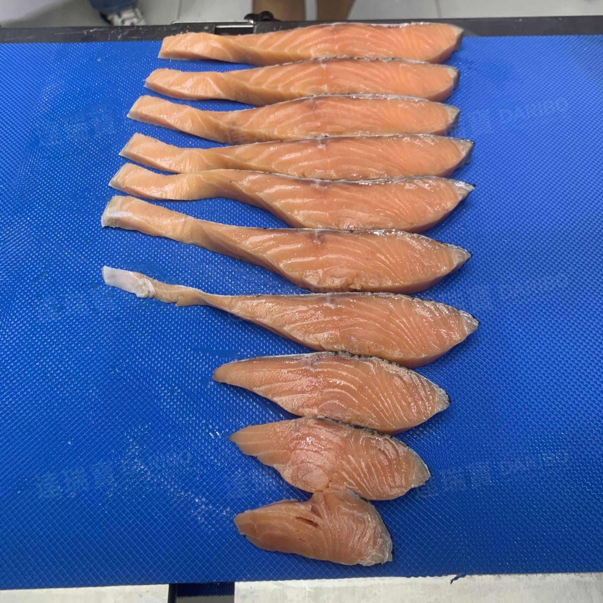 W三文鱼切片机 牛油切丁机 切块机鲜肉切条 鲜肉切条机切块切丁机,清洗/食品/商业设备,肉制品加工设备,淘宝优惠券,粉丝福利购,淘宝优惠卷