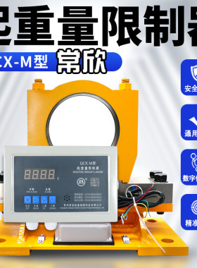 起重机双梁行车起重量限制器常州常欣QCX-M/2B/MB/3B型仪表显示屏