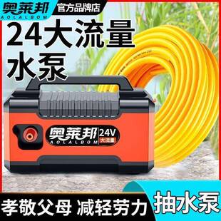 充水电式 抽泵浇菜神自动浇水机小器池型家用菜园锂电电动农田620