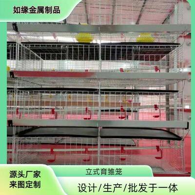 立式四鸡笼冷粗镀锌小层叠养小殖鸡笼养殖场专层用育CTY雏笼加小