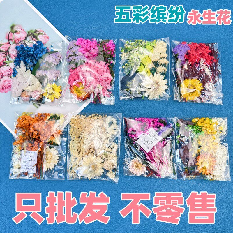 团建永生花材料包干花相框团扇画贺卡干花手工天然真花包滴胶礼品