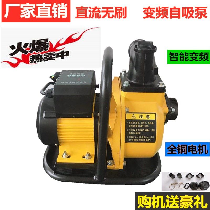 水泵家用农用直流自吸泵灌溉抽水机48V60V电动车抽水泵高扬程