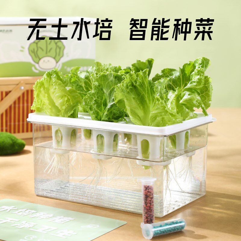 家庭水培蔬菜种植盒无土栽培设备水培生菜器皿幼儿园智能观察花盆
