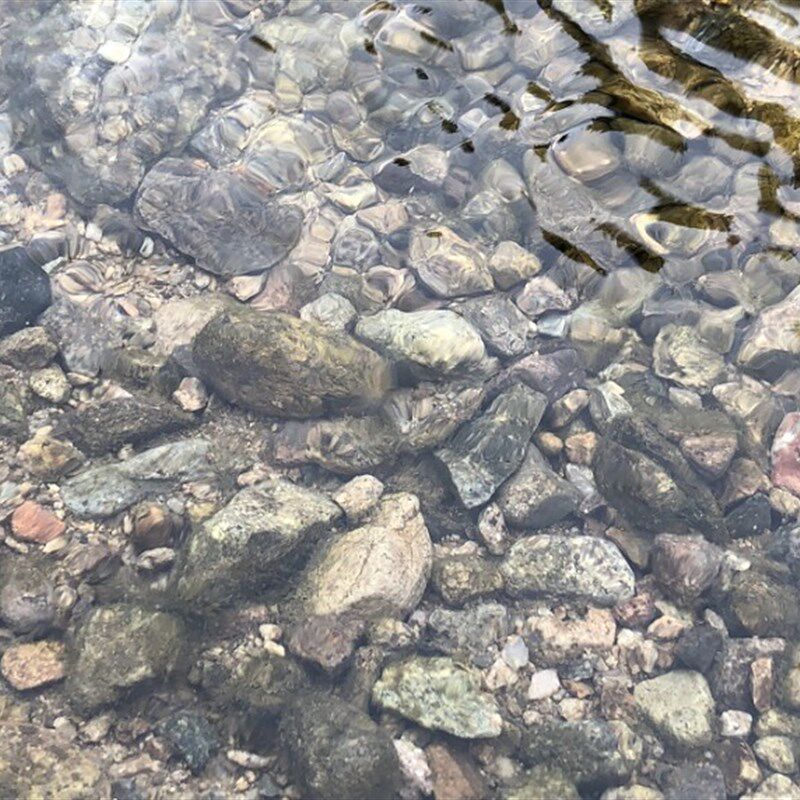 天然原生底沙砂鱼缸造景装饰溪流砂大矶砂造景免洗石头子铺子摆件,宠物/宠物食品及用品,造景/装饰,淘宝优惠券,粉丝福利购,淘宝优惠卷