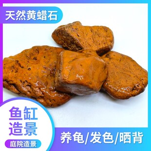 木纹乌龟晒台黄腊石垫脚石龟苗发色乌龟晒背休息天然鱼缸观赏造景