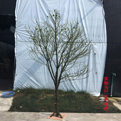 干树枝装饰白色树干许愿树枯树杆橱窗造景婚庆路引道具落地摆件