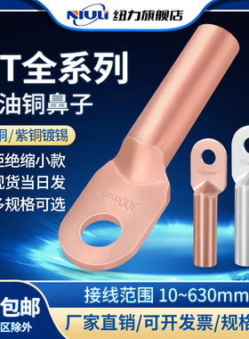 DT铜鼻子线鼻子接线端子镀锡电缆接头16/35/70/95/185/240300平方
