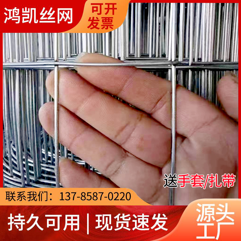镀锌电焊网养殖铁丝网围栏装玉米网防裂网养鸡网隔离防护网卷大孔