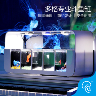 泰国斗鱼缸组合排缸多格月光水母斗鱼一体式 桌面创意家居生态缸