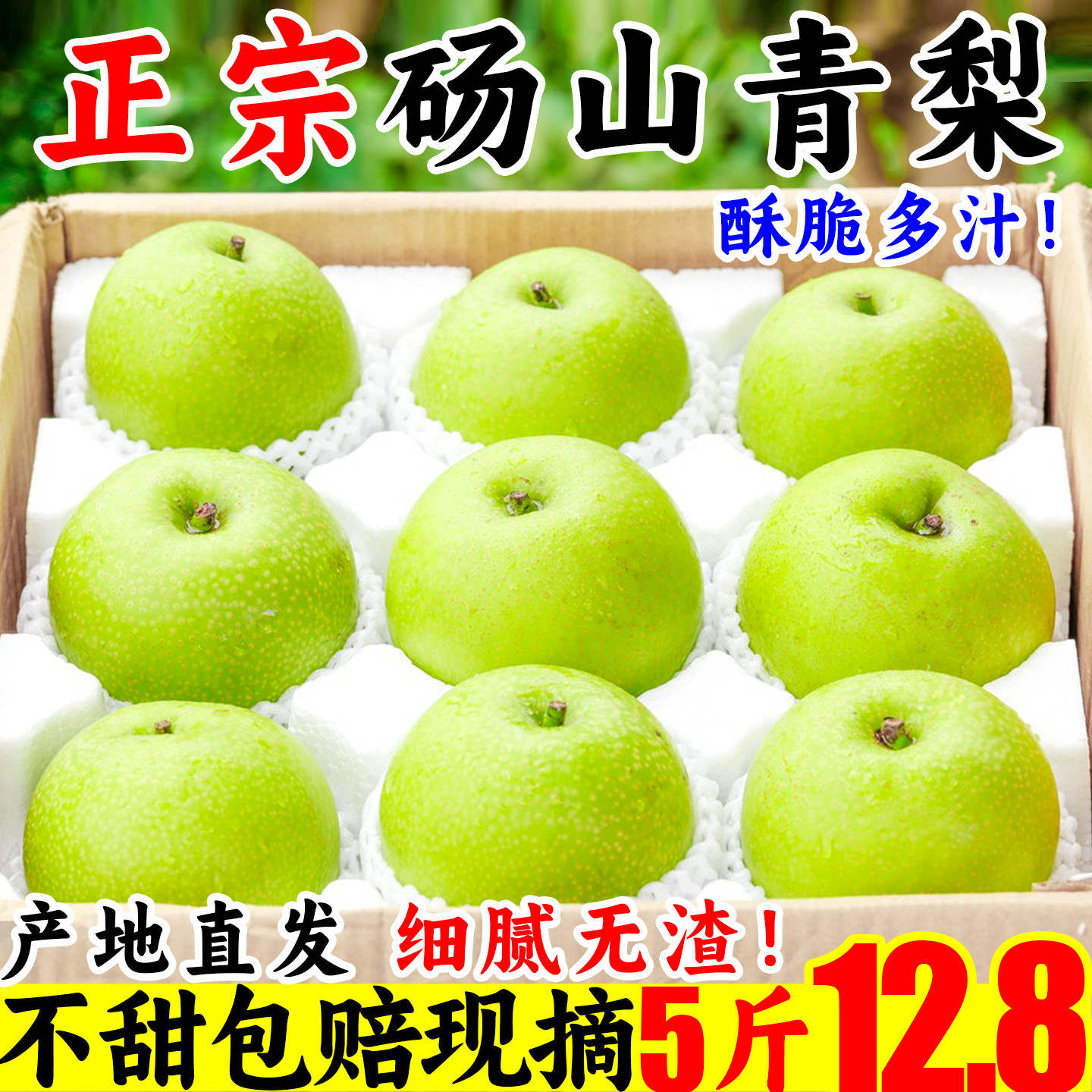 【现摘】砀山青梨脆甜多汁1箱6.8