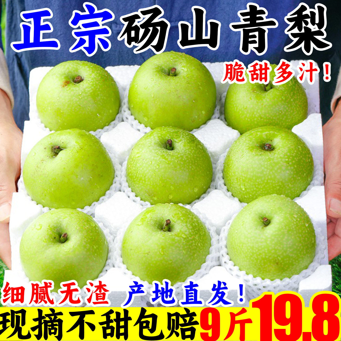 【现摘】安徽砀山酥脆青梨特大甜