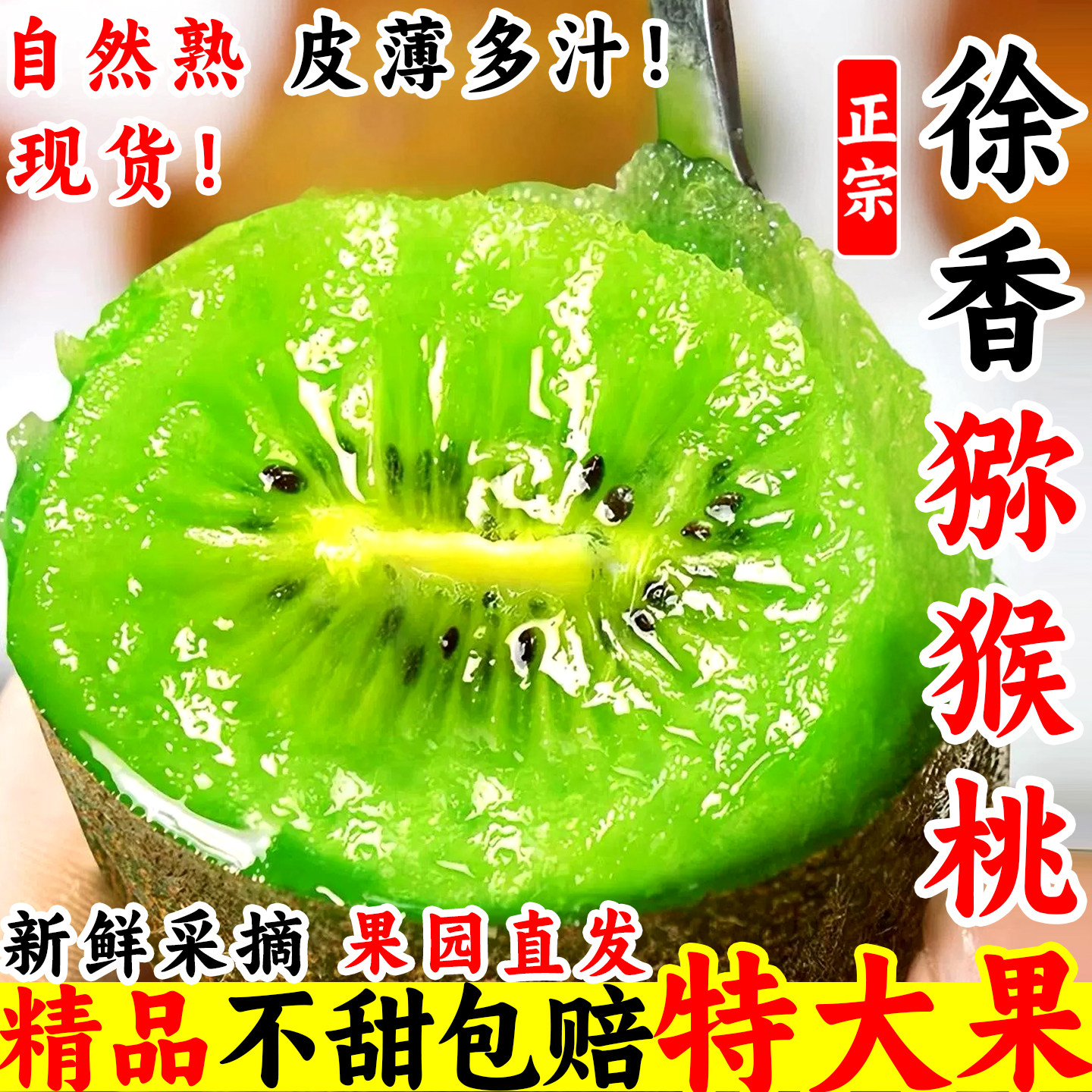 【现摘】徐香猕猴桃个大饱满多汁