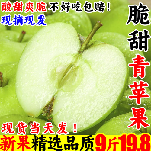 【现摘】青苹果酸甜爽口产地直发