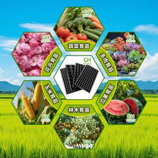 苗孔穴CH251213盘带托盘草莓西瓜多功能蔬菜苗木多肉扦插营育养加