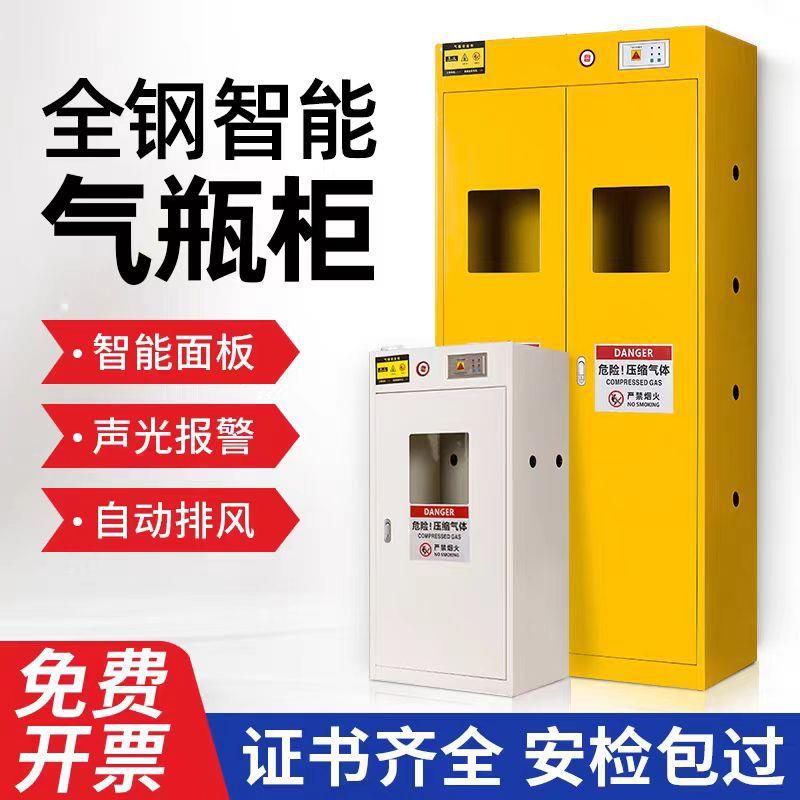 全钢防气爆气瓶柜存放柜氧乙炔钢瓶RSA-2600储存实罐验室柜气体双