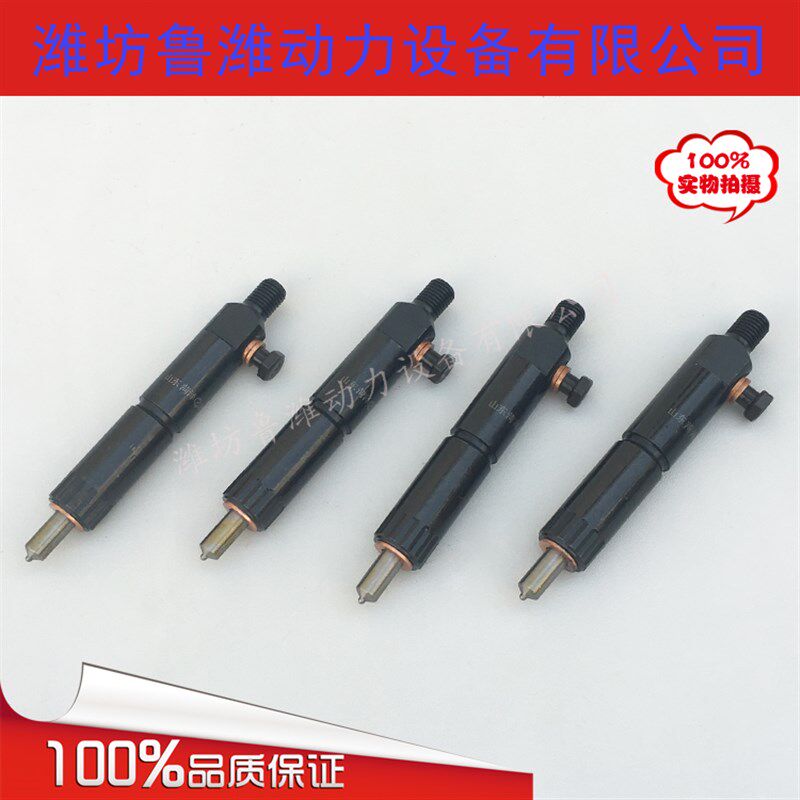 潍坊华东华丰华源R4105 R6105喷油器总成 R柴油机喷油嘴油头原厂