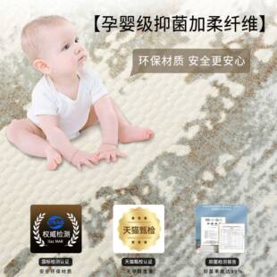 胶高水地毯客厅免洗无甲醛现代无简约级轻防布兰迪+奢床边毯卧室