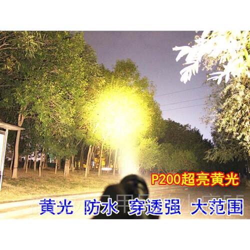 高档赶海P200白光黄光2潜水手电筒下白专业抓鱼650超水亮强光P906