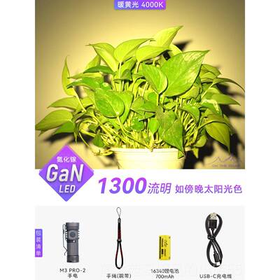 高档路2上M3 PRO-迷你强光USB手电筒防身可充电小手筒户外防水电l