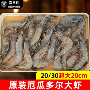 皇冠大虾鲜活速冻超大虾2030南美厄瓜多尔白虾单只水冻1.8kg批发