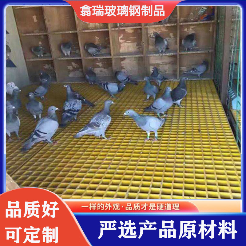玻璃纤维鸽舍地网网格格栅板家用鸭舍赛鸽养殖漏粪地格栅鸽棚