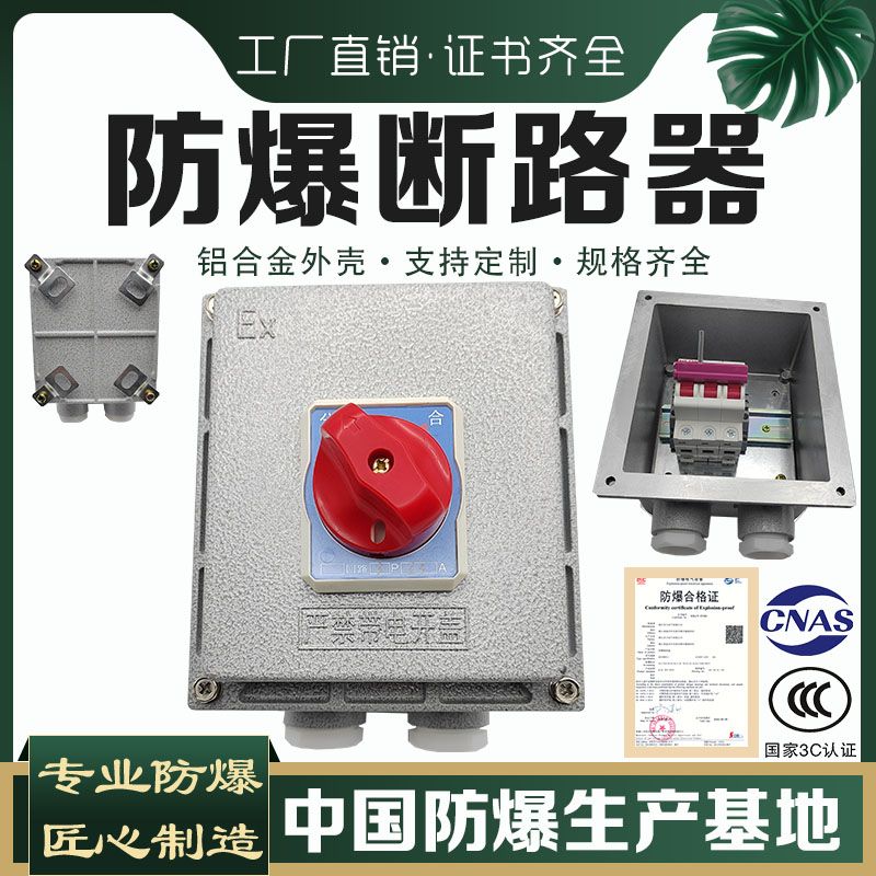 防爆断路器空开关断路器漏电保护380V3P防爆空气开关32A63A控制箱