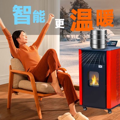 新型全自动颗粒炉子生物质颗粒取暖炉家用冬季室内风暖采暖炉两用