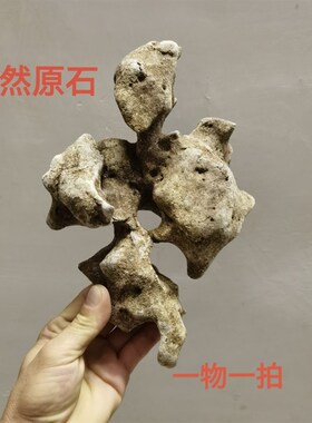 太湖石观赏摆件石英石墨石玲珑石盆景附精品奇石天然原石头A12