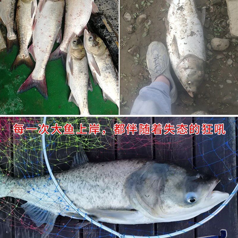 钓翻白武大头料钓秋冬鲢鳙雾化汉方块鲨酸臭味饵料抛竿板猎快天下