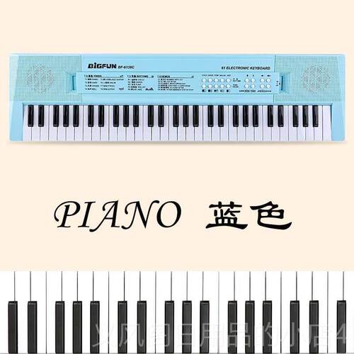 正品初级、成人、幼儿童电子盘，61门键儿园键教师，入级家庭，女