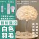 高档浪漫嫁水晶灯温馨羽毛i床头灯结婚陪北欧轻s奢n少女简约卧室