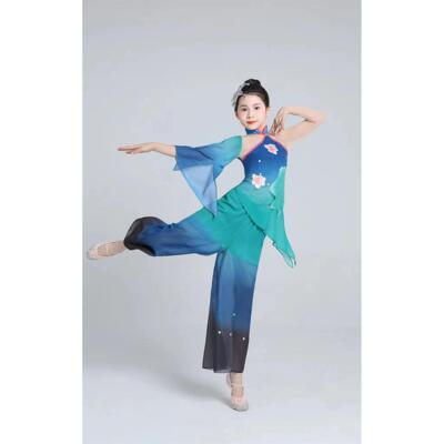 高档新小荷风舞采出儿童古典服款装演服幼儿中国舞羽化灵蛇表演服
